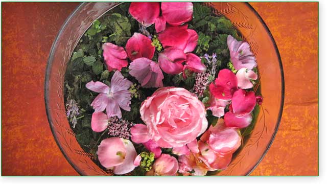 Blumen